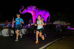 BIB: 
                            <button type="button" onclick="openModal(26543002)" class="btn btn-primary btn-sm float-right btn-popup" data-toggle="modal" data-target=".modal-high-quality">
                        <i class="fas fa-shopping-cart"></i> Add to Cart
                    </button>
                                            <button type="button" onclick="isThisMe(26543002, true)" class="btn btn-success btn-sm float-right btn-popup btn-isme hidden" data-toggle="tooltip" data-placement="bottom" title="นี่คือรูปของคุณใช่ไหม คลิกที่นี่เพื่อเอาเข้าอัลบั้ม">
                        <i class="fas fa-plus"></i> Add to album
                    </button>
                    <button type="button" onclick="isThisMe(26543002, false)" class="btn btn-warning btn-sm float-right btn-popup btn-isnotme hidden">
                        <i class="fas fa-ban"></i> Remove from album
                    </button>